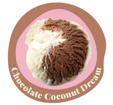 Chocolate Coconut Dream