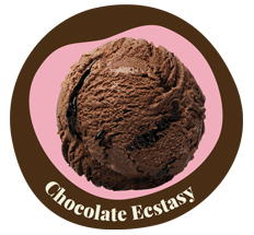 Chocolate Ecstacy